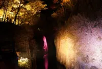 高千穂神社の写真・動画_image_491112