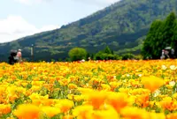 生駒高原の写真・動画_image_716028