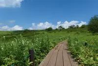 チャプリンの写真・動画_image_38951