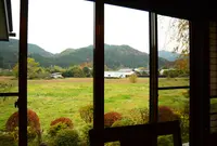鹿沼市久我の写真・動画_image_50661