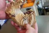 たいやき ともえ庵