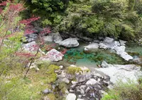 安居渓谷の写真・動画_image_131028