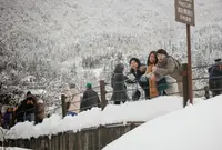 白川郷合掌造りの写真・動画_image_18705