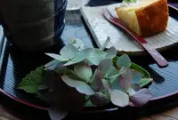 まんさくの写真・動画_image_25742