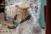 ヴェランダの写真・動画_image_25748