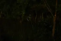 渋温泉の写真・動画_image_33821