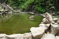渋温泉の写真・動画_image_34368