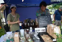 ミドリカフェの写真・動画_image_50858