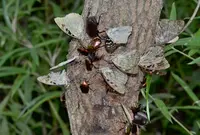 上野原市の写真・動画_image_54196