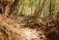 鋸山 日本寺 展望台の写真・動画_image_61936