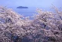 海津の町並みの写真・動画_image_64522
