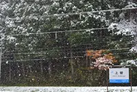 JR伯備線 上菅駅の写真・動画_image_128138