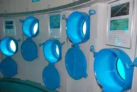 ブセナ海中公園の写真・動画_image_143127