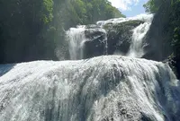 袋田の滝の写真・動画_image_171893