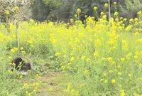 上総牛久駅の写真・動画_image_174452