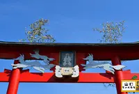 元乃隅神社の写真・動画_image_190668