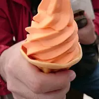 道の駅 花の駅千曲川の写真・動画_image_99755