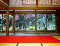 胡宮神社の写真・動画_image_240418
