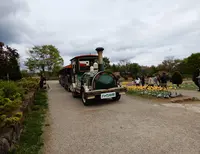 ハイジの村（旧 山梨県フラワーセンター）の写真・動画_image_273956