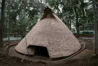 代々木八幡宮の写真・動画_image_52571