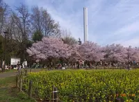 蘆花恒春園の写真・動画_image_172029