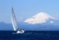 葉山マリーナの写真・動画_image_724799