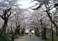 千秋公園の写真・動画_image_130693