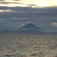 城ケ島の写真・動画_image_452428