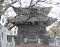 吉祥寺の写真・動画_image_101300