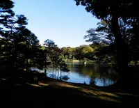 六義園の写真・動画_image_50813