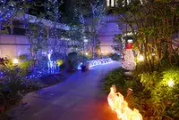 ノリタケの森の写真・動画_image_53576