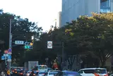 表参道