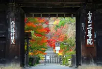 二尊院の写真・動画_image_66551