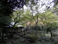 旧古河庭園の写真・動画_image_101370