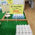 卵菓Hashitamaの写真_23112