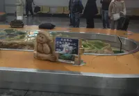 山口宇部空港の写真・動画_image_70392