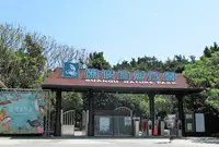 関渡自然公園の写真・動画_image_1241210