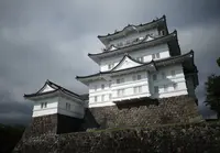 小田原城の写真・動画_image_665463