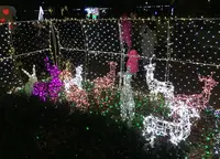 元渕江公園の写真・動画_image_54115
