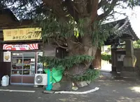 谷中のまちなみの写真・動画_image_56383