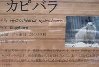 高鼻町４丁目の写真・動画_image_27569