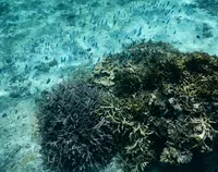 シギラビーチの写真・動画_image_202201