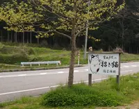 案山子窯の写真・動画_image_78911