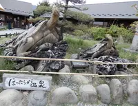 ほったらかし温泉の写真・動画_image_563544