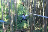 フォレストアドベンチャー・小田原
