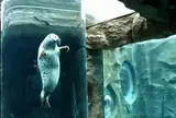 旭山動物園