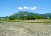 柏原から伊吹山の写真・動画_image_128537