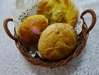 ハーポの写真・動画_image_753789