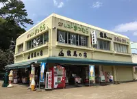 桂浜の写真・動画_image_130508