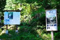 飛龍の滝の写真・動画_image_38106